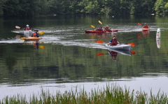 Kayaks in the pond