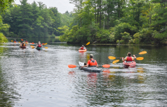 Kayakers