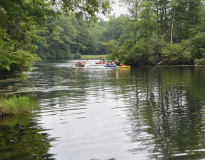 View of pond with kayaks